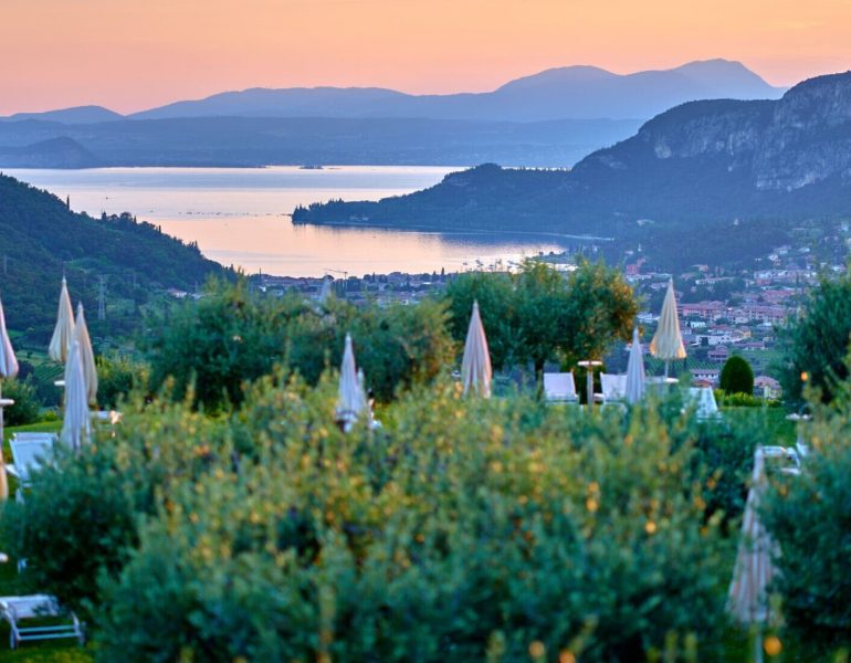 0d6fd98a-55dd-43f1-9f40-17431ed30579